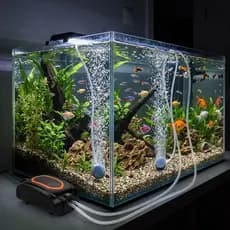 Bomba de oxigênio portátil tanque peixes silencioso/mini bomba de aerador, 4w/127v, acessorios para aquario