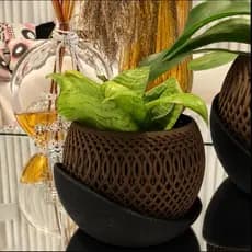 Vaso para Orquídea Ventilado c/ Prato Decorativo Orgânico Marrom e Preto Planta Suculenta Cactos