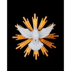 Divino Espírito Santo 22cm Decorativo Porta Parede Cristão Grande Branco Marmorizado e Dourado