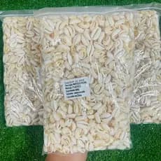 Buzios Natural 500 GRAMAS Cortado( NATURAL NAO É DE PLASTICO) para Artesanato Pacotes com 500gr