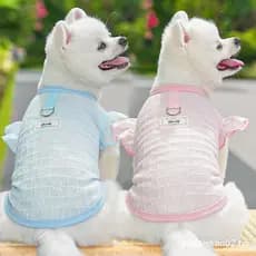 Colete De Verão Para Cachorro , Camiseta Fina Respirável E Fofa Cães Pequenos Médios , Moda Chihuahua Yorkshire , Roupas