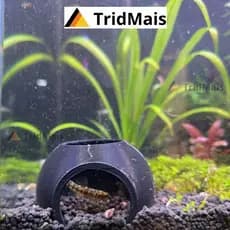 Diversos Modelos Toca Esconderijo Domo Iglu 90 graus Seguro Aquário Terrário