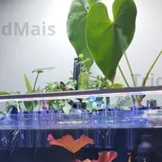 Suporte de Plantas para Aquários Terrários Ramo Fino ou Grosso Hidroponia