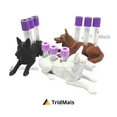 Porta Tubos de Coleta Amostra Laboratorial Cachorro Pastor Alemão Veterinário Biomédico