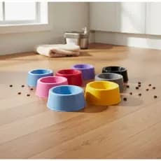 Kit 2 Comedouro Bebedouro Pet Cães Gato Simples Colors