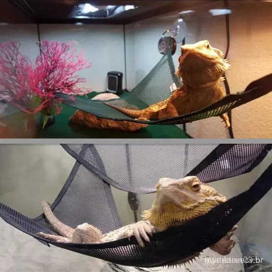 Acessórios Para Répteis Rede De Lagarto Réptil Suprimentos Animais De Estimação Escalada Leopardo gecko