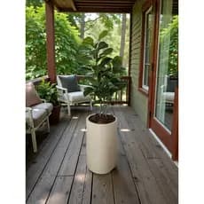 Planta Artificial Ficus Lyrata Alta Grande 1,25M Elegante Decorativa Toque Realista Luxo