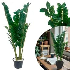 Planta Zamioculca Artificial  Alta 80cm Decorativa Toque RealistaSilicone