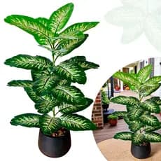 Planta Artificial Comigo Ninguém Pode 72cm Grande  Realista Decorativa Luxo Sala Escritorio