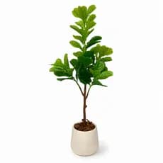 Planta Artificial Ficus Lyrata 130cm 53Folhas Realista Decorativa Elegante Sala Escritório Premium