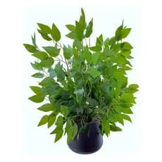 Ramo Artificial Ficus Lyrata Realista Galho Decorativo para Arranjos Decoração Casa Casamento