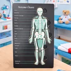 Quebra Cabeça Esqueleto Humano Educativo Didático Anatomia