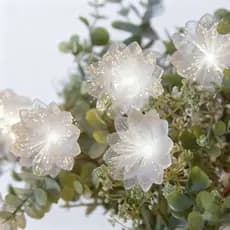 Luzes de Fadas Flores Fibra Óptica 3m 20 LEDs a Bateria