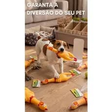Frango Galinha de Borracha para Cachorro com Apito 30cm Brinquedo Pet Vinil Resistente Mordedor Interativo para Cães
