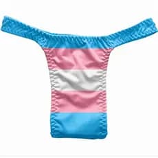 Calcinha Para Aquentar Segura Neca, cueca Trans Modelo Fio Dental Tucking Drag Queen gay Lgbt