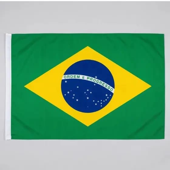 Kit com (14) Bandeira do Brasil 40x54cm