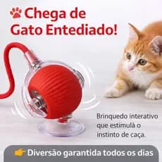 Bola Interativa Premium para Pets | Estimula Exercício e Diversão | Movimento Automático