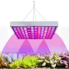Led Grow Full Spectrum 200w 110v 220v Lâmpada Cultivo Indoor Placa Quântica Led Cultivo de Mudas