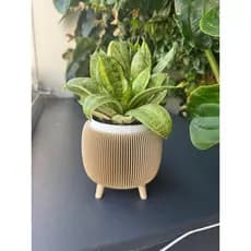 Vaso Cachepô - Bege Areia - 13cm | Decorativo para Suculentas e Plantas | Sala, Escritório e Quarto