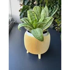 Vaso Cachepô - Amarelo  - 13cm | Decorativo para Suculentas e Plantas | Sala, Escritório e Quarto
