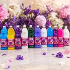 Desinfetante Vigut 2L Diversas Fragrâncias Limpeza Profunda Perfume Duradouro