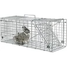 Armadilha Gaiola Gatoeira Lorben Grande Captura Resgate Animais Gatos Gambás Lagartos