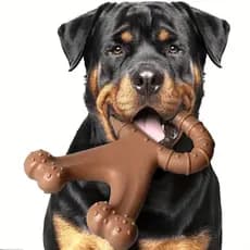 Kit Brinquedo Para Cachorro Mordedor Borracha Super Resistente Limpeza Dental