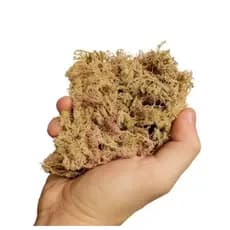 Musgo Sphagnum Branco de 500ML a 5Litros, Musgo para Orquídeas e Plantas musgo decorativo para Vasos e Decorações