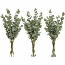 Kit com 3 Buquê de Eucalipto Natural Seco Desidratado para Arranjos, Decoração e Aromatizar Banheiros.