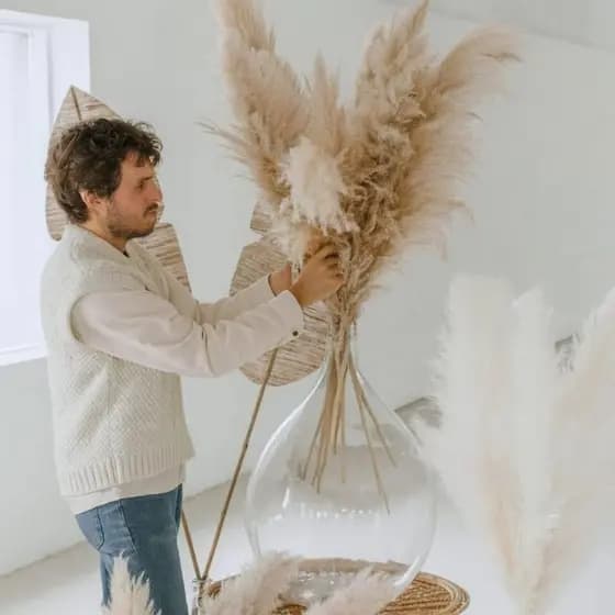10 Galhos Capim dos Pampas Natural para Decoração, Plumas Naturais decorativa