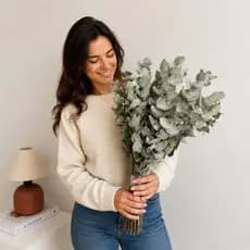 Buquê de Eucalipto Natural Seco Desidratado para Arranjos, Decoração e Aromatizar Banheiros.