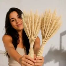 80 Galhos de Trigo Seco Desidratado para Decoração, Trigo natalino para arranjos de mesa e Vasos, Trigo natural