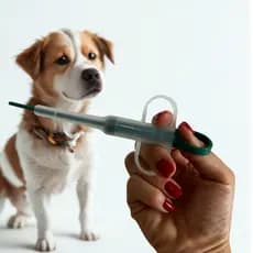 Seringa Aplicadora de comprimidos remédios para cães e gatos