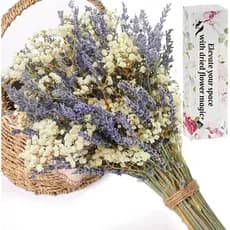 Buquê de Flores Secas de Lavanda e Gypsophila, 2 Buquês Secos, Flores Naturais Secas, Adequado para Enchimento de Vasos,