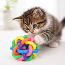 Brinquedo para Gato Bola com Guizo Colorida Interativo Pet para Gatos e Cachorros