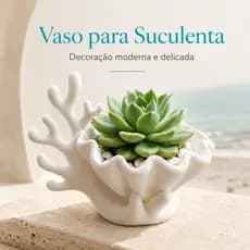 Vaso Para Suculenta Concha Coral Cachepot Mini Planta Cacto Decoração Mesa