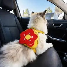 Mochila Colete Pet com Guia para Cães e Gatos Bolsa para Passeio Ajustável Uso Diário
