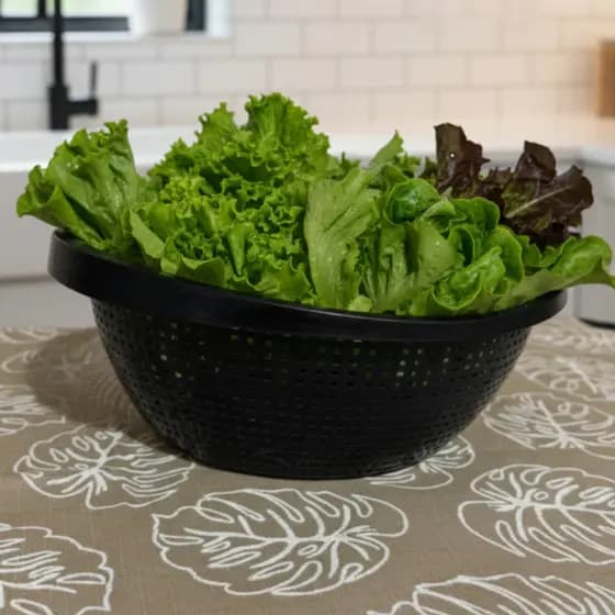 Lava Tudo Escorredor de Arroz Macarrão Legumes Saladas Plástico