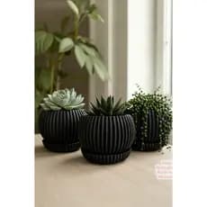 Vaso Suculenta Com Pratinho / Decorativo Plantas Vaso Decorativo Cachepot Para Plantas naturais
