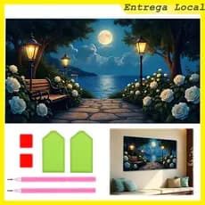 5D pintura diamante quadrado, 70x40 cm Pintura Diamante," Night Light flor caminho " pintura diamante