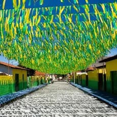 Rabiola de Enfeite para Copa do Mundo Verde e Amarela, Rumo ao Hexa Brasil.