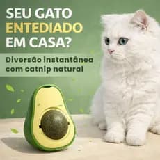 Brinquedo Catnip para Gato Bola Interativa Erva dos Gatos Anti Estresse Pet
