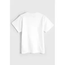 Camiseta Criança Infantil Lisa 100% Algodão Toque Macio