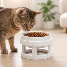 Suporte Base Elevador Para Alimentação Ração Vasilha Pote Comedouro Bebedouro de Gato Cachorro Pet