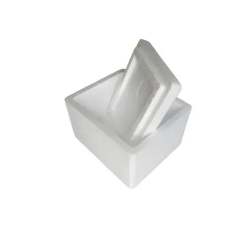 04 unidades de  caixa térmica de isopor 1 litro / Kg