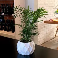 Vaso Decorativo com Design em Ondas - Decoração Moderna para Plantas e Suculentas