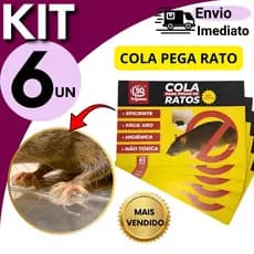 Armadilha Adesiva Forte 25x17cm  6 OU 3 Peças Contra Pragas
