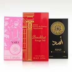 Kit Perfume Masculino e Feminino 100ml Para o Dia Dia - Álta Fixação Ótima Opção Para Presente