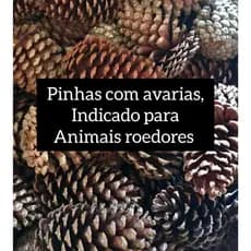 kit 10 Pinhas Naturais para Roedores – Mordedor Natural | Enriquecimento Ambiental Hamster Calopsita Coelho