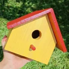 Casinha para pássaros livres 🐦🪹